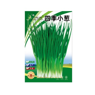 厂家供应 百花之缘 四季小葱-盛辉种子批发大货品佳图3