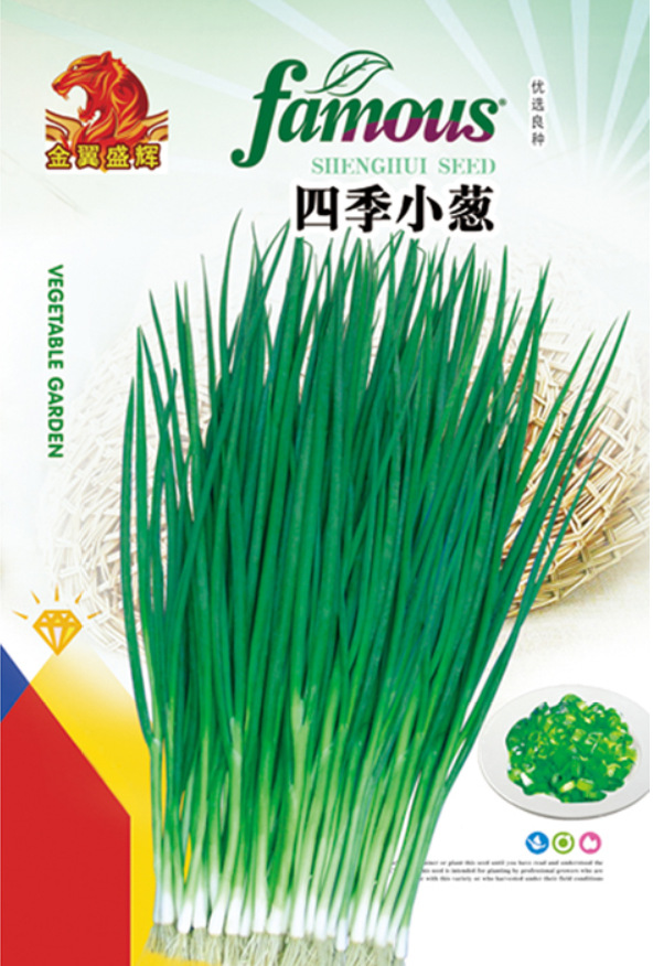 四季小葱-盛辉