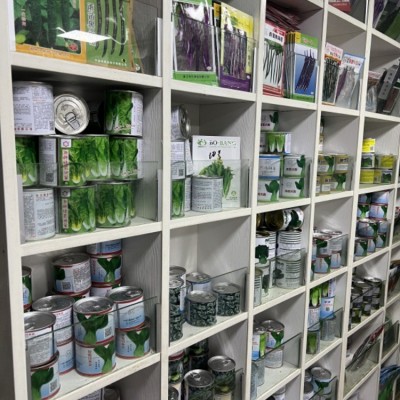批发紫茄子种子蔬菜瓜果种子阳台蔬菜茄瓜紫白青长茄种子质优价廉图3