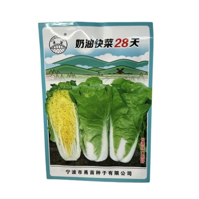批发奶油小白菜种子四季播种室内阳台盆栽易种蔬菜种子速生种籽孑图4