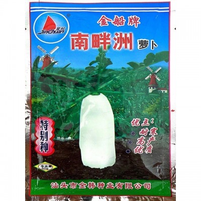 菜籽种南畔洲晚白萝卜种子高产不空心耐抽苔秋冬大白萝卜蔬菜种子图2