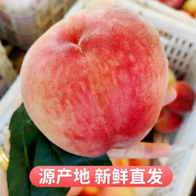 丹东河口艳红桃子新鲜当季水果脆甜孕妇水蜜桃顺丰五斤一件包邮图3