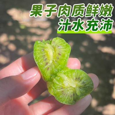 软枣猕猴桃丹东2斤迷你奇异果当季现摘新鲜水果顺丰一件整箱包邮图4