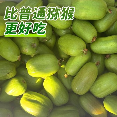 软枣猕猴桃丹东2斤迷你奇异果当季现摘新鲜水果顺丰一件整箱包邮图2