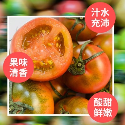 丹东铁皮柿子当季水果5斤新鲜采摘东北特产水果脆甜柿子顺丰包邮图3