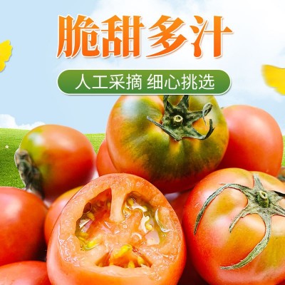 丹东铁皮柿子当季水果5斤新鲜采摘东北特产水果脆甜柿子顺丰包邮图2