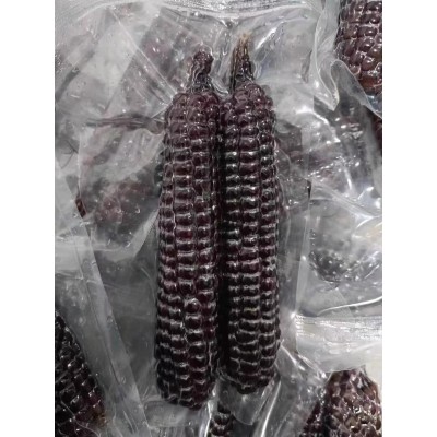 西双版纳紫金拇指玉米黑糯宝宝辅食代餐紫色手指小玉米新鲜糯玉米图4