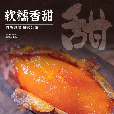 山东烟薯25号蜜薯糖心红薯新鲜番薯沙地烤地瓜紫薯流油3斤装图3