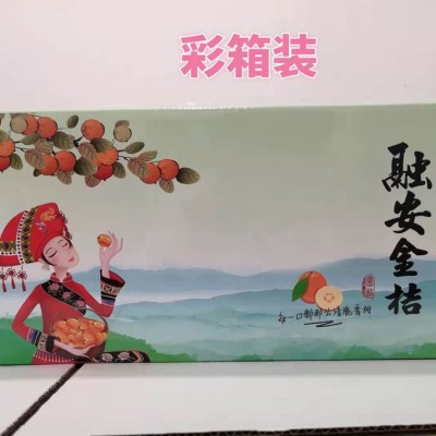 广西融安滑皮金桔 纯甜无酸 脆嫩多汁 3斤 融安金桔 一件代发图5