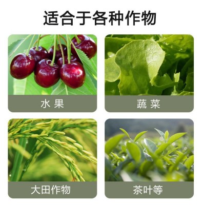 推荐叶面肥氨基酸 海外进口巨藻植物膨果剂 农用果树通用水溶肥图3