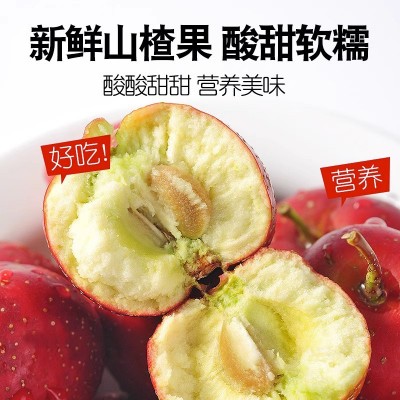 现摘大山楂山里红果基地 冰糖葫芦用山楂果 休闲零食开胃山楂果图2