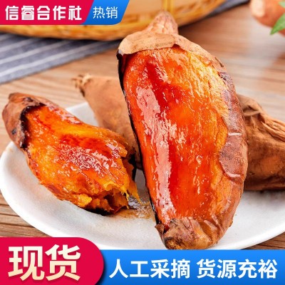 新鲜蜜薯.正宗山东沙地蜜薯.地瓜红薯烟薯25号烟薯店用批发50斤图2