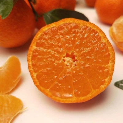 正宗广西沙糖桔无籽整箱水果薄皮特级桔子砂糖橘小橘子新鲜包邮甜图2