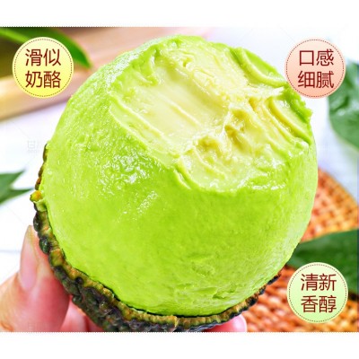 云南牛油果新鲜水果墨西哥鳄梨大果树上熟透即食宝宝 辅食包邮图4