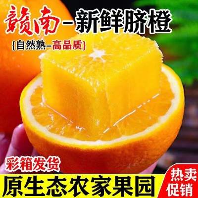 丰泉鲜果 自己家种的 正宗赣南脐橙 产地直发图4