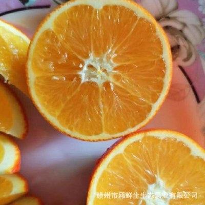 正宗赣南脐橙江西赣州寻乌新鲜水果手剥橙现採现发图2