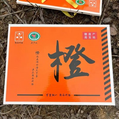 江西赣州寻乌县赣南脐橙12个礼盒手提箱精品优先臻选图3