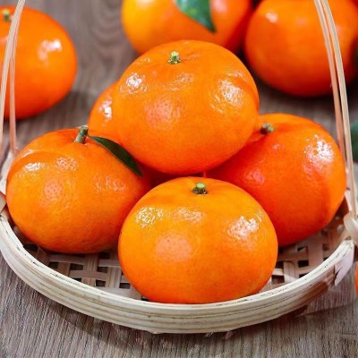 江西赣州寻乌沃柑赣南寻乌沃柑现採现发新鲜採摘橘香味超级浓郁图4