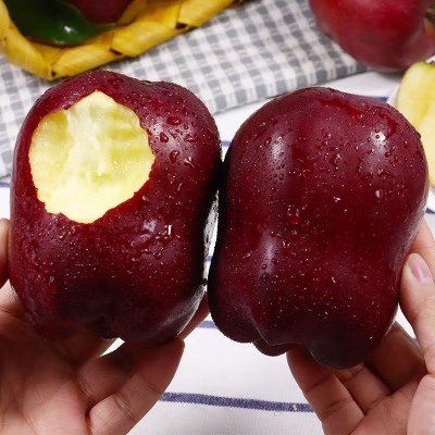 【现货】甘肃天水花牛苹果当季蛇果花牛苹果一件代发图3