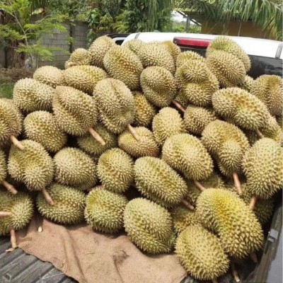 泰国金枕榴莲鲜果进口热带水果榴莲代发整箱带壳新鲜全年供应批发图3