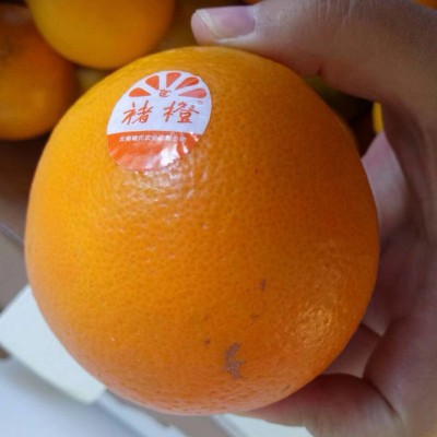 云南实建褚橙正宗褚时健皮薄汁多味甜冰糖橙褚橙应季新鲜水果礼盒图4