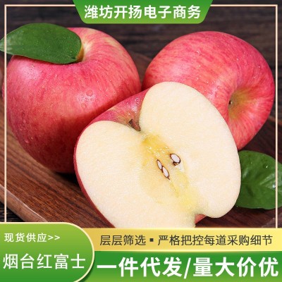 正宗烟台红富士苹果 当季新鲜水果脆甜栖霞一件代发批发包邮图3