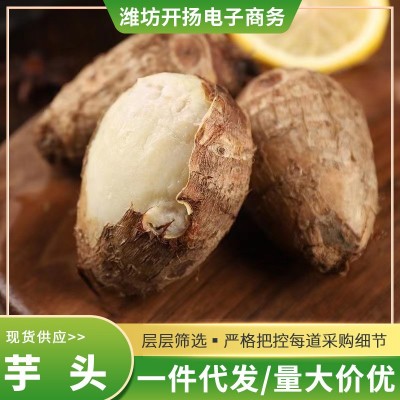 山东新鲜牛奶小芋头毛芋头香芋现挖芋头批发一件代发礼盒图2