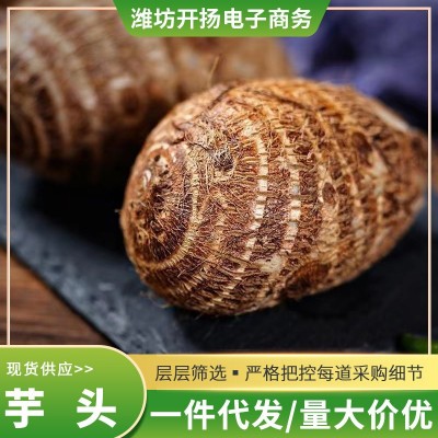 山东新鲜牛奶小芋头毛芋头香芋现挖芋头批发一件代发礼盒图3