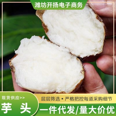 山东新鲜牛奶小芋头毛芋头香芋现挖芋头批发一件代发礼盒图4