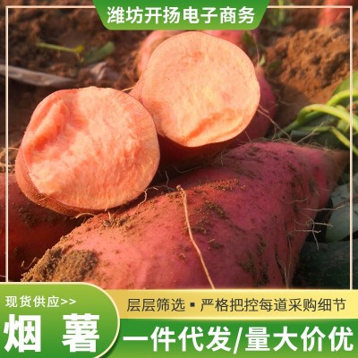 现货山东烟薯烤红薯糖心蜜烤地瓜番薯 红薯批发 新鲜烟台烟薯图3