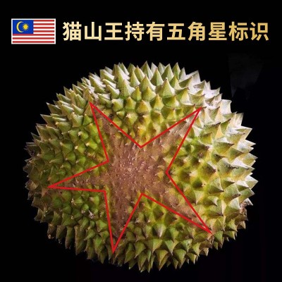 马来西亚D197猫山王榴莲正宗液氮猫山王水果支持批发一件代发图3