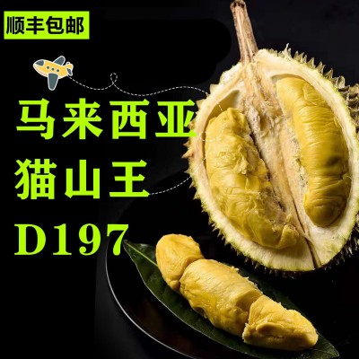 猫山王D197榴莲马来西亚进口液氮冷冻水果源头直销支持一件代发图4