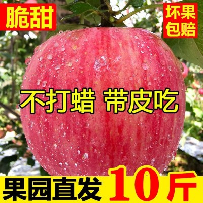 正宗陕西洛川苹果红富士10斤新鲜当季孕妇水果时令脆甜陕西一级果图2