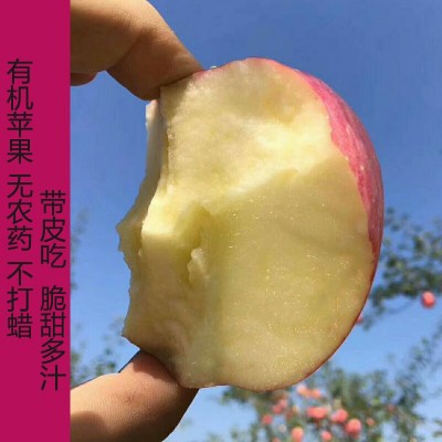 正宗陕西洛川苹果红富士10斤新鲜当季孕妇水果时令脆甜陕西一级果图4