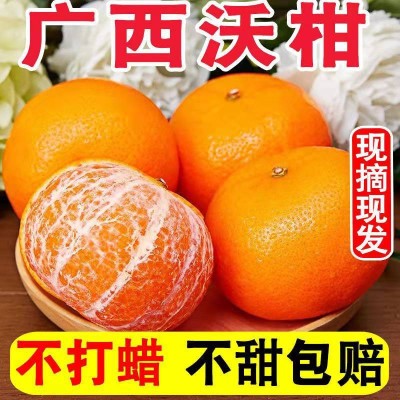【现摘】正宗武鸣沃柑爆甜多汁新鲜皮薄肉厚纯甜无渣桔子橘子水果图3