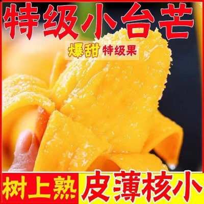 【现货】海南台农芒果小台芒新鲜当季芒果青芒非贵妃金煌芒热带甜图4