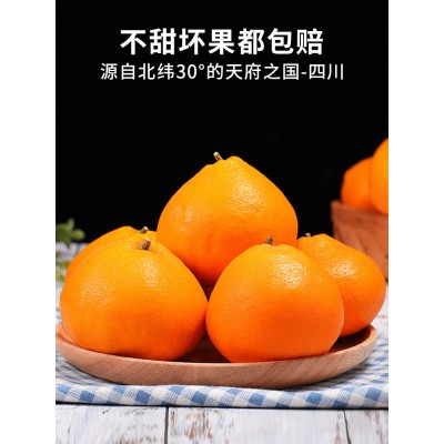 正宗四川春见耙耙柑10斤橘子水果当季丑八怪粑粑柑桔子丑柑桔包邮图5