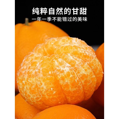 正宗四川春见耙耙柑10斤橘子水果当季丑八怪粑粑柑桔子丑柑桔包邮图3