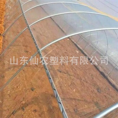 12丝 PE料耐高温大棚膜 高透光消雾无滴大棚膜 PO膜加厚农用薄膜图4