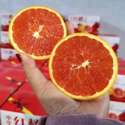 中华红血橙湖北秭归红肉红心脐橙现摘新鲜橙子整箱水果批发红橙图4