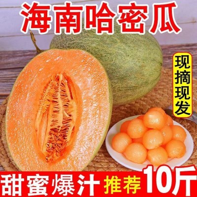 哈密瓜海南当季新鲜水果批发应季网纹瓜整箱正宗爆甜量大从优网红图2