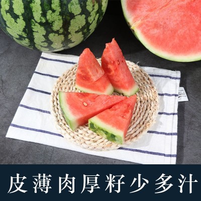 冰糖麒麟瓜8424西瓜新鲜水果现摘现发应季沙瓤薄皮多汁超甜果批发图3