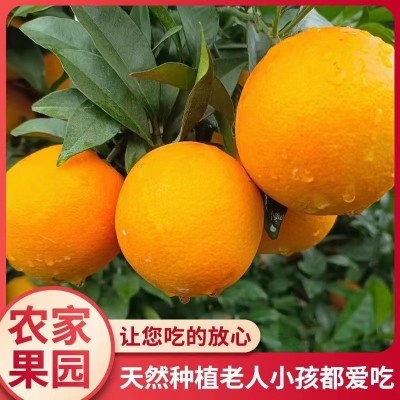 橙子新鲜脐橙水果新鲜甜橙非冰糖橙爱媛果冻橙赣南的脐橙整箱批发图2
