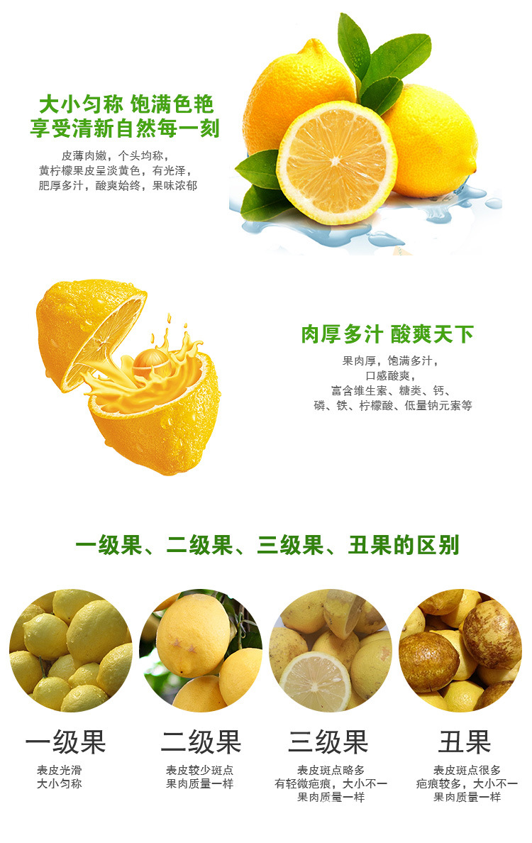 黄柠檬详情页9_06