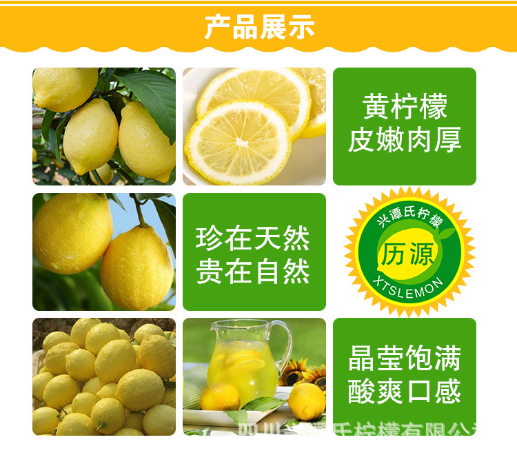 黄柠檬详情页9_05