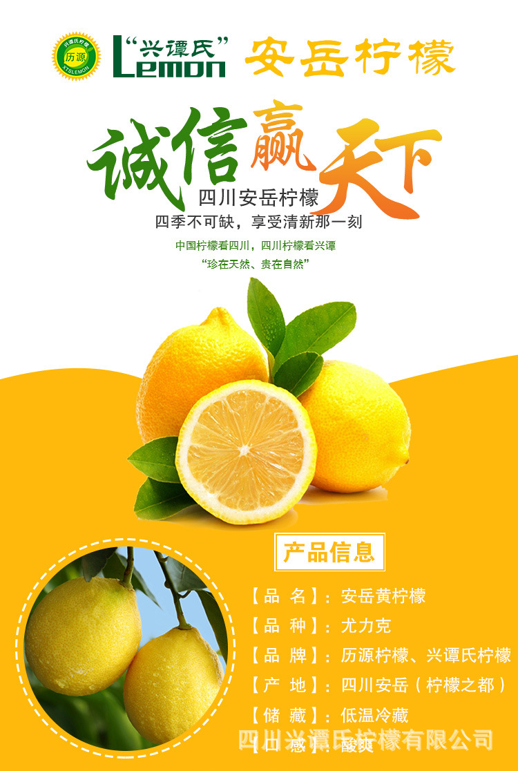黄柠檬详情页9_01