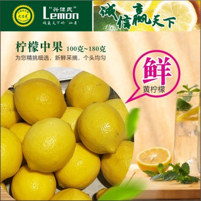 新鲜黄柠檬批发安岳尤力克大果产地货源榨汁奶茶店鲜果代发包邮图5