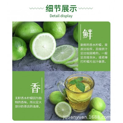 广东香水柠檬新鲜现摘无籽奶茶店专用一级青柠檬当季批发包邮整箱图3