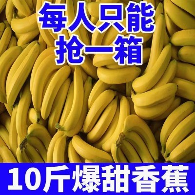 批发价云南香蕉整箱批发新鲜水果薄皮自然熟非蕉米蕉芭蕉厂家直销图5