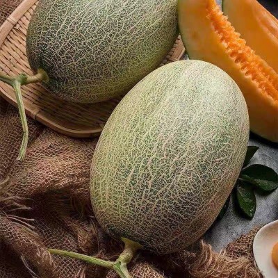 海南哈蜜瓜西州蜜晓蜜25号整箱非网纹瓜玫珑瓜原产地直发孕妇水果图4